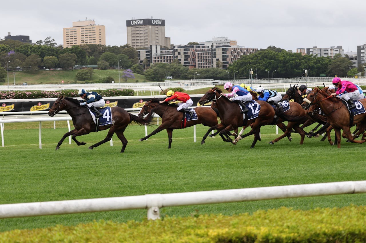 Dynamic horse racing scene showcasing competitors sprinting on a vibrant green racetrack.